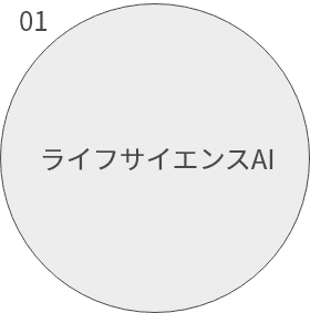 Solution_LSAI_on