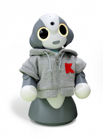 2015 国際ロボット展でFRONTEOの人工知能を搭載したKibiroを展示いたしますのサムネイル